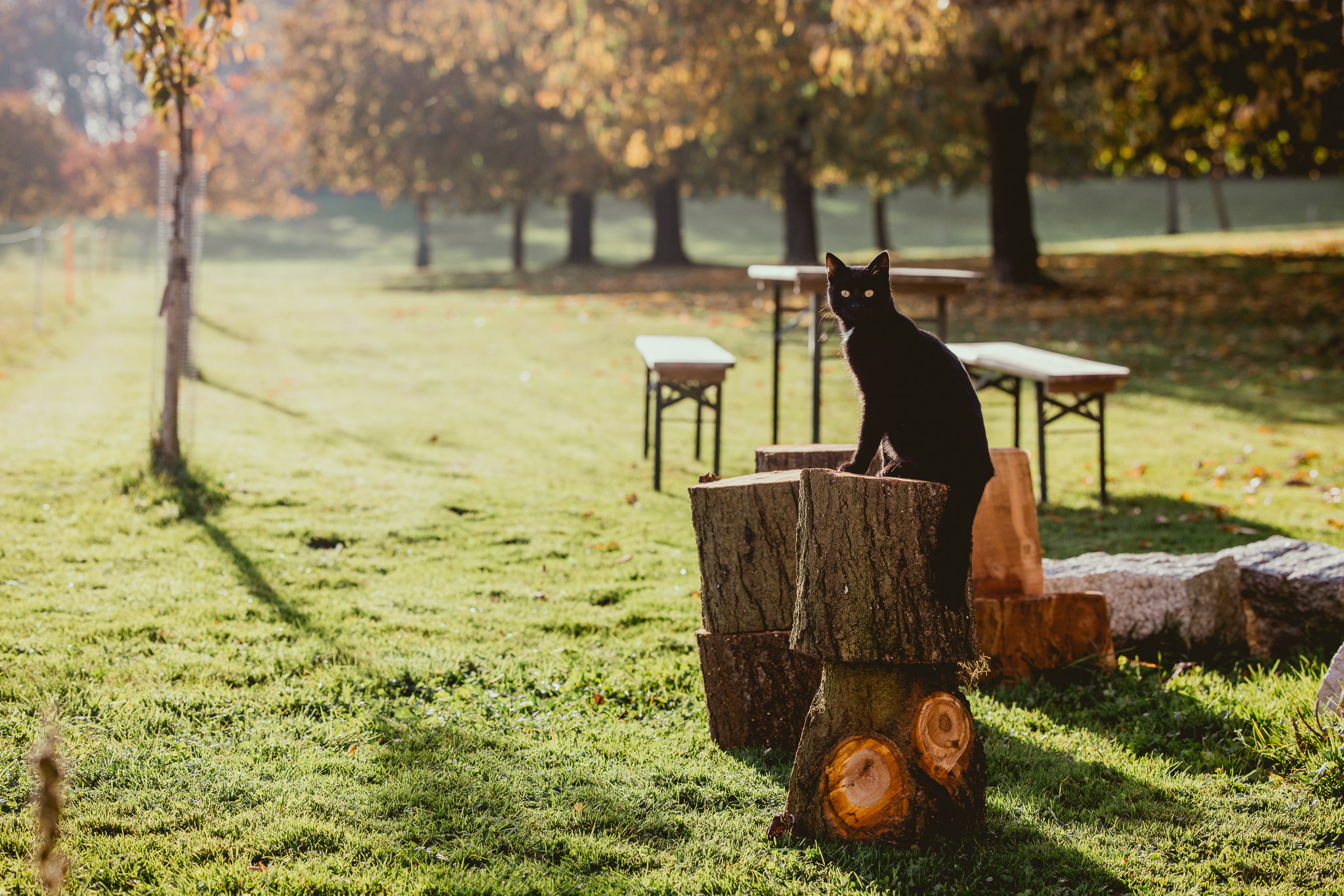 Samhain Olten Jahreskreisfest Kraut und Wiese