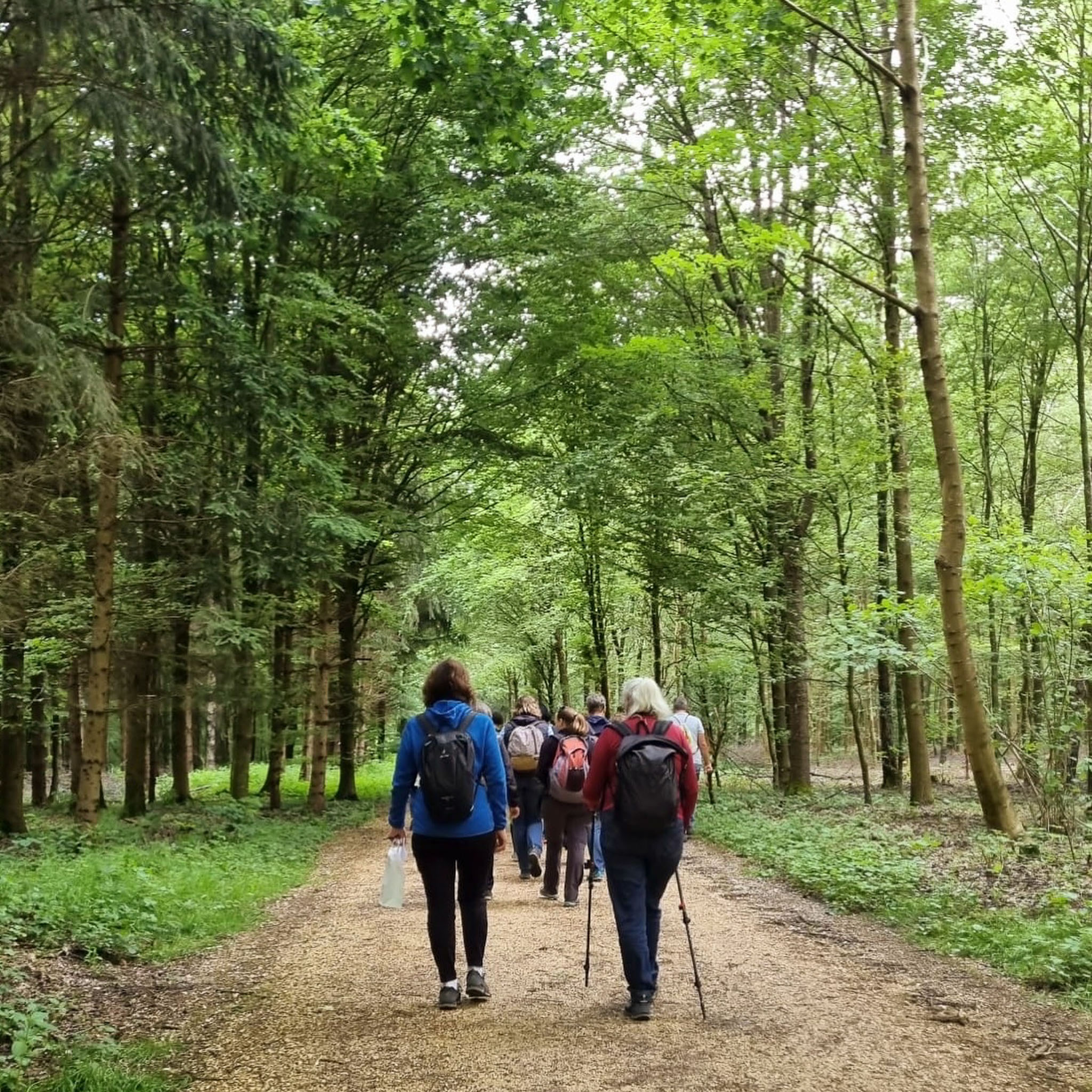 Wildkräuter Olten Jahreskreisfest Kraut und Wiese