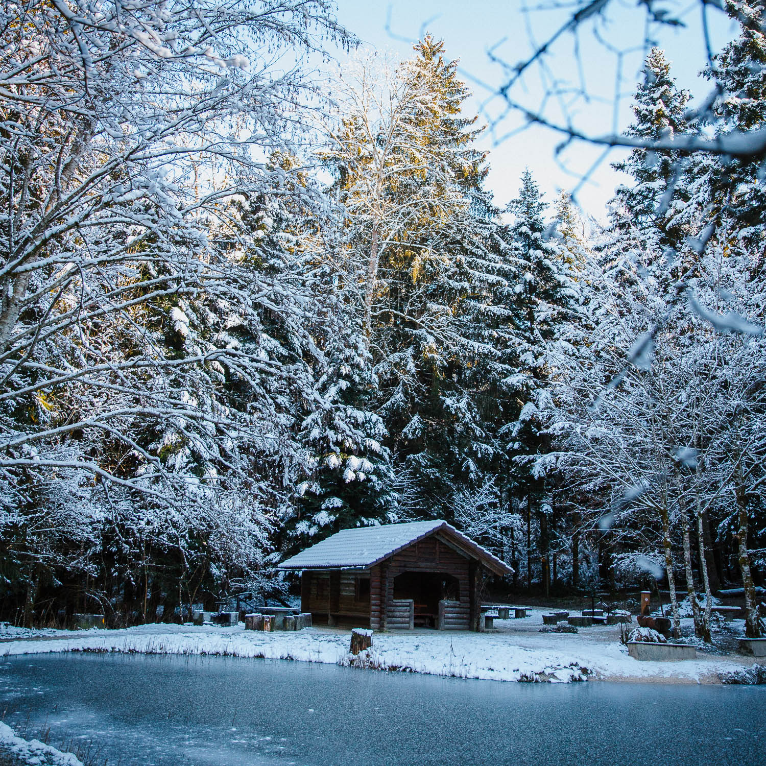 Winter Pflanzenspaziergang Olten Kraut und Wiese