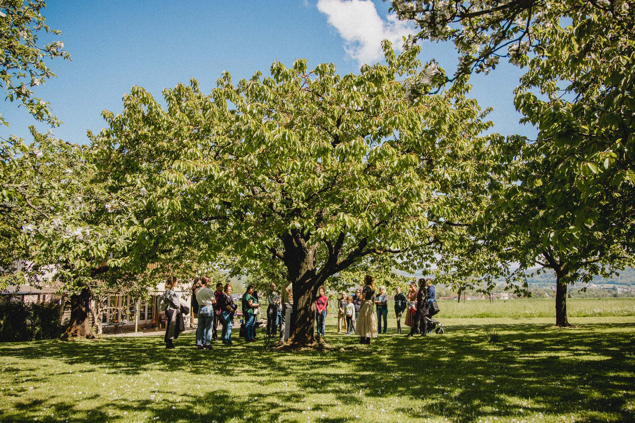 Wildkräuter Olten Jahreskreisfest Kraut und Wiese