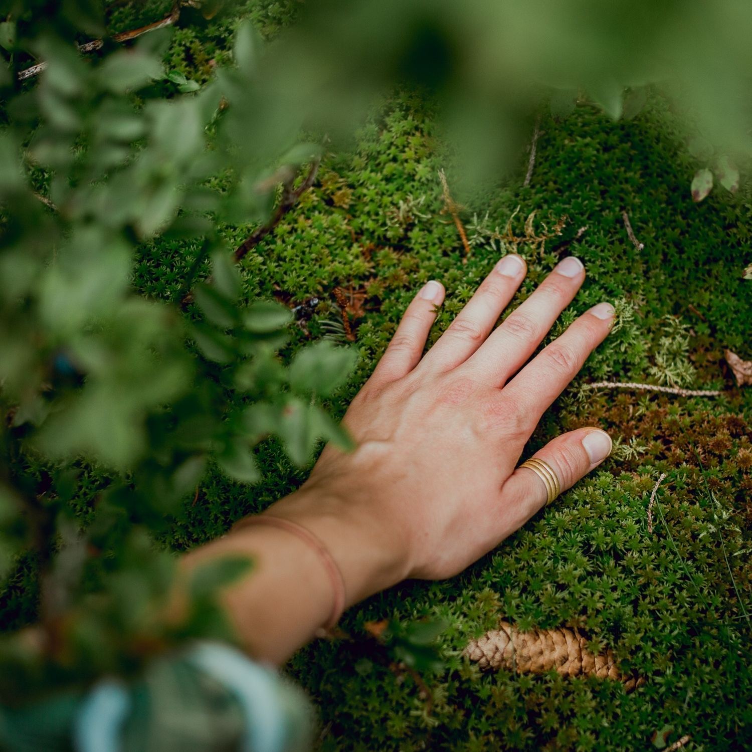 Olten Jahreskreisfest Kraut und Wiese