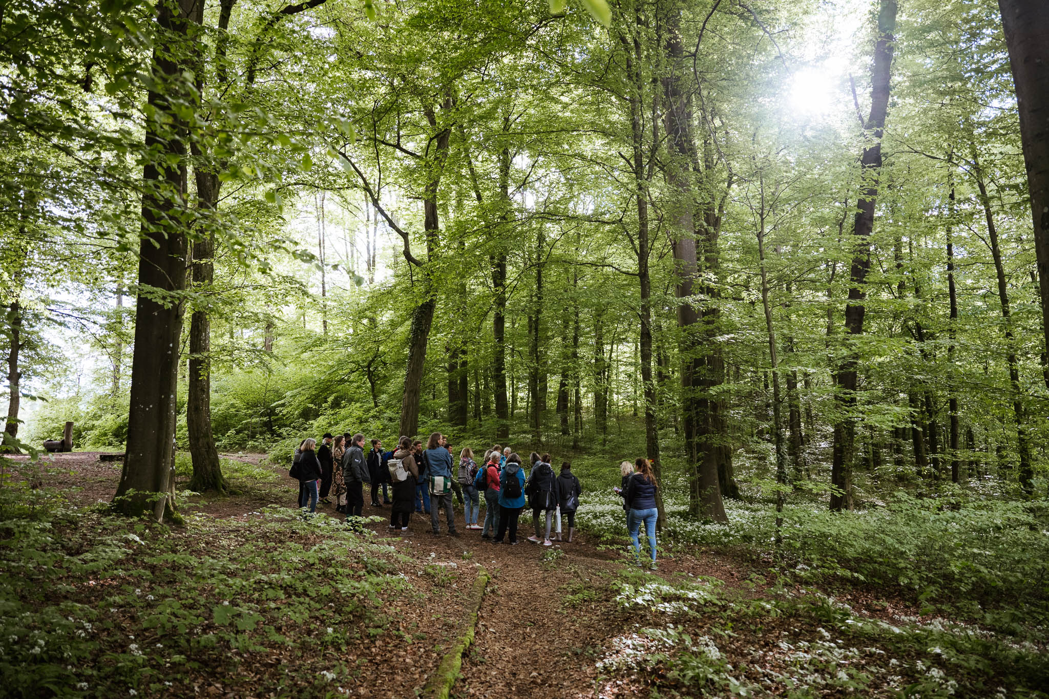 Wildkräuter Spaziergang Saner Apotheke EGK Olten Schweiz