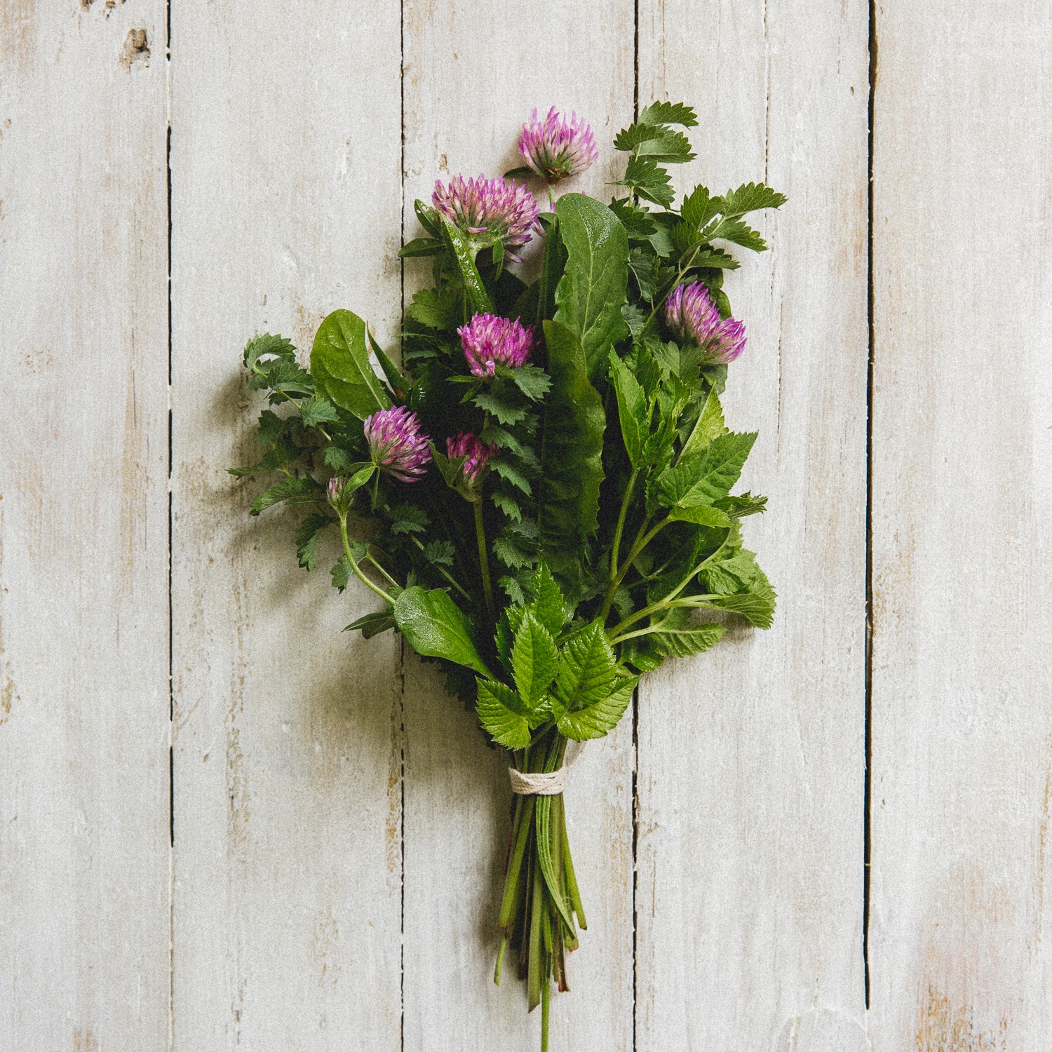 Wildkräuter Olten Jahreskreisfest Kraut und Wiese